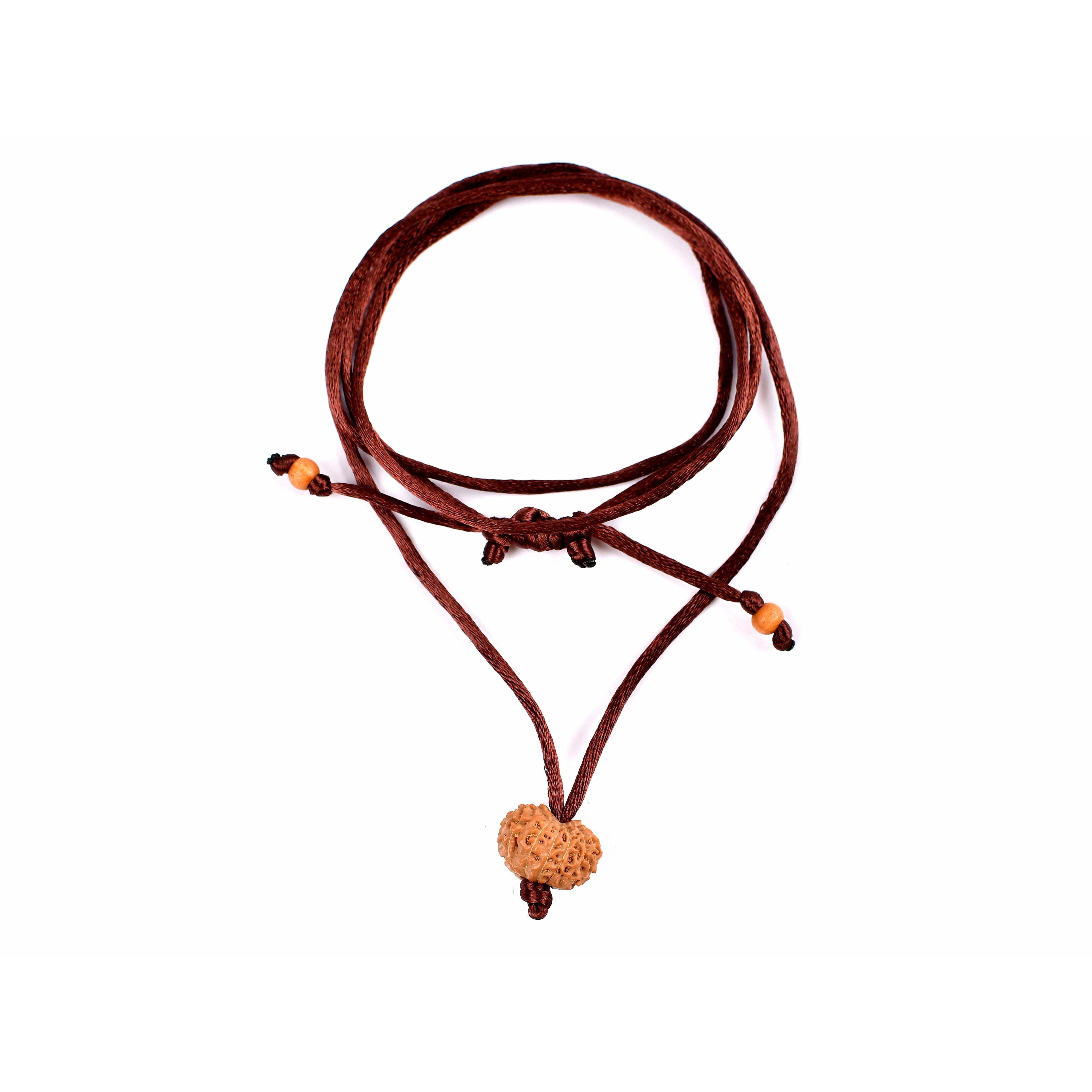 12-Augen-Rudraksha (Java)